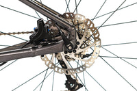 Giant Revolt 2 Shimano Sora Disc Gravel Bike 2020, Size Small