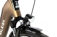 Raleigh Motus Tour Low Step Shimano Tourney Tx Electric Hybrid Bike 2023, Size Medium