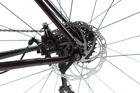 Trek Domane AL 2 Gen 4 Shimano Claris Disc Road Bike 2025, Size 54cm