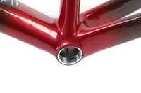 Sarto Seta Plus Tri Composite Disc Frameset 2023, Size Extra Large