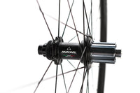 Miche Syntium DX WR AXY Disc Wheelset, Shimano Freehub