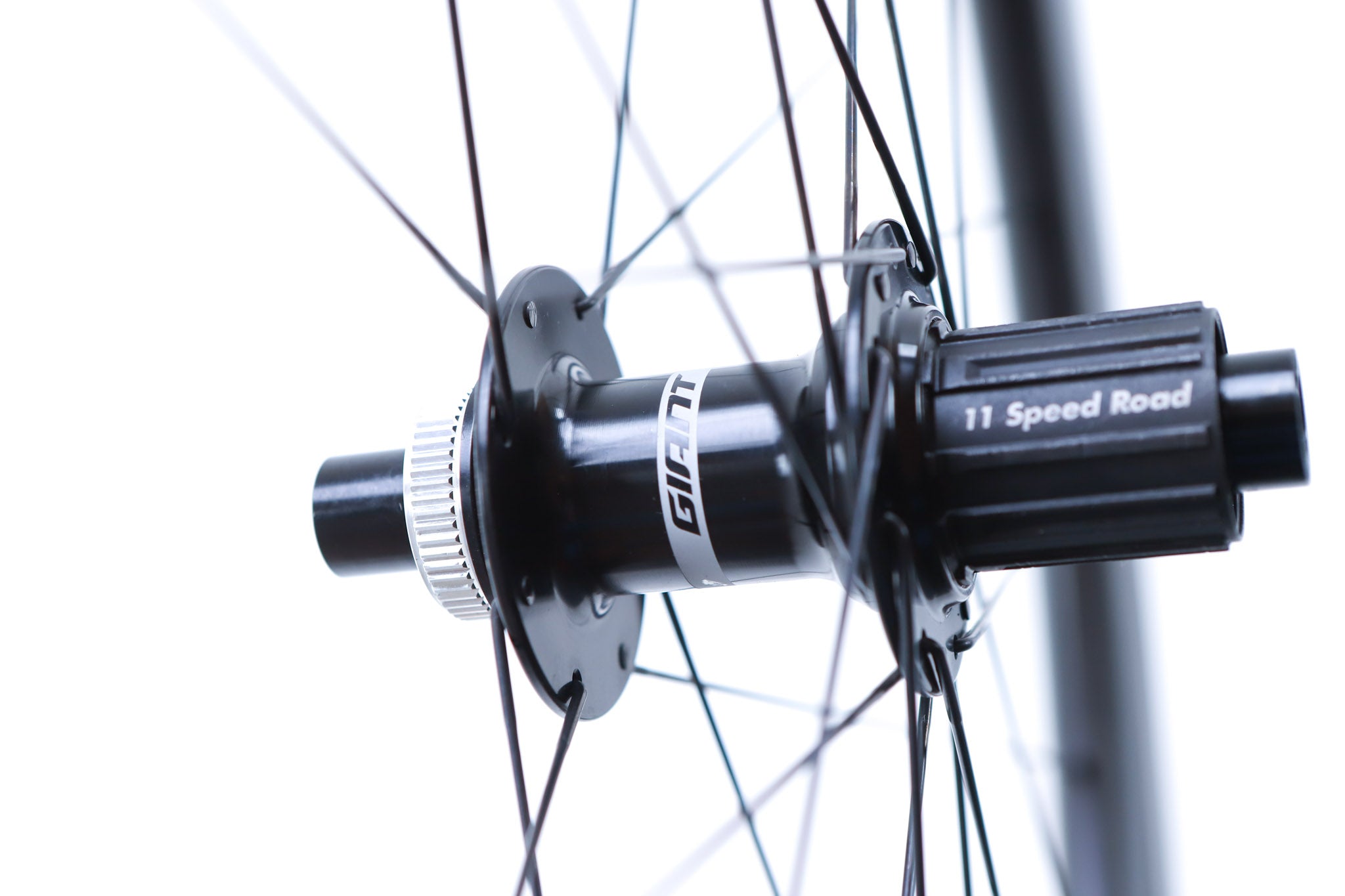 Giant SLR 2 - 50mm Carbon Disc Wheelset 2025, Shimano Freehub