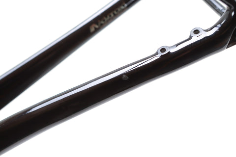 Giant TCR Advanced Pro Disc Road Frameset 2024, Size M/L