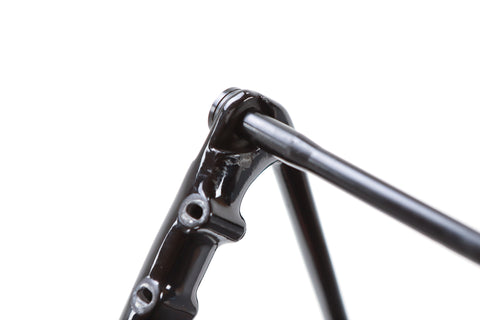 Giant TCR Advanced Pro Disc Road Frameset 2024, Size M/L