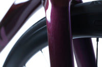 Liv Enviliv Advanced Pro 0 Shimano Ultegra Di2 Disc Road Bike 2021, Size Medium