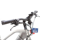 Trek Allant +8 Disc Shimano Deore Electric Hybrid Bike 2022, Size Small