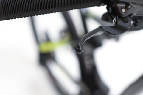 Cannondale Scalpel Carbon LTD Sram XO1 Eagle MTB 2021, Size XL