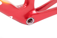 Pinarello Dogma F Disc Road Frameset 2024, Size 54cm