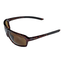 Smith Pathway Sunglasses, Havana