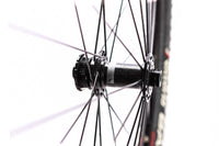 Fulcrum Rapid Red 900 Disc Wheelset, Shimano Freehub