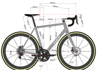 Sarto Seta Plus Shimano Dura-Ace Di2 Disc Road Bike 2020, Size 55cm