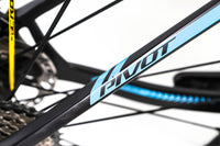 Pivot LES Shimano XT Disc Mountain Bike 2019, Size Large