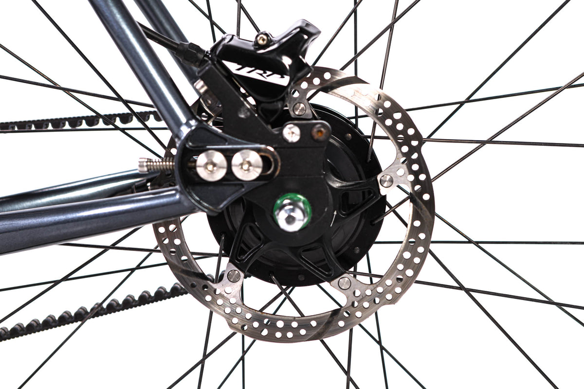 Shand Leveret Shimano Alfine Belt Drive Disc Gravel Bike 2020, Size 54cm