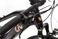 Liv Amiti E+ 2 Shimano Alivio Electric Bike 2021, Size Medium