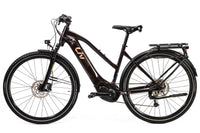 Liv Amiti E+ 2 Shimano Alivio Electric Bike 2021, Size Medium