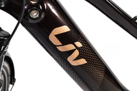 Liv Amiti E+ 2 Shimano Alivio Electric Bike 2021, Size Medium